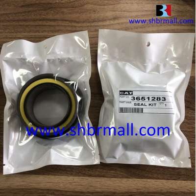 Motor Grader Seal Kits CAT 3651283