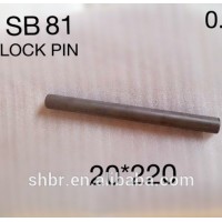 Hydraulic Hammer Breaker Lock Pins